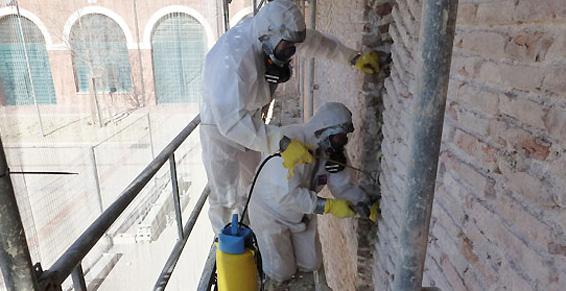 Sempéré et Fils SAS à Pia