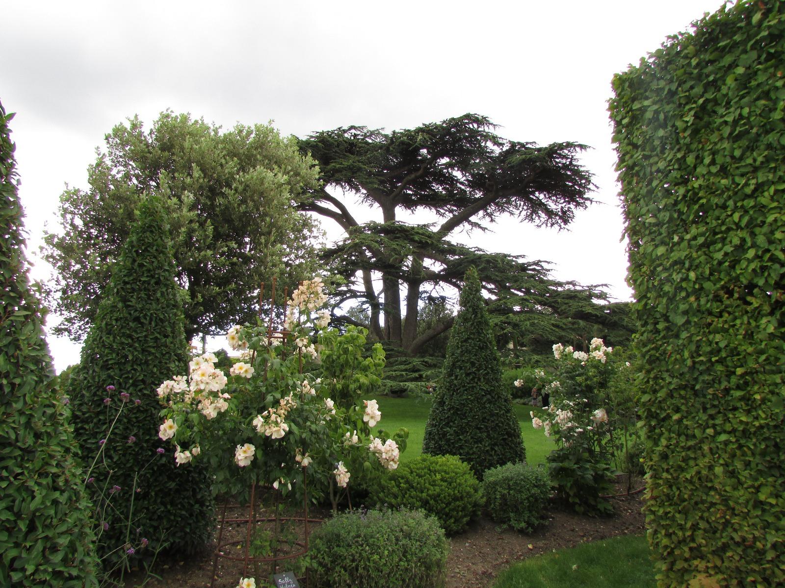 Élagage et abattage en Loire-Atlantique