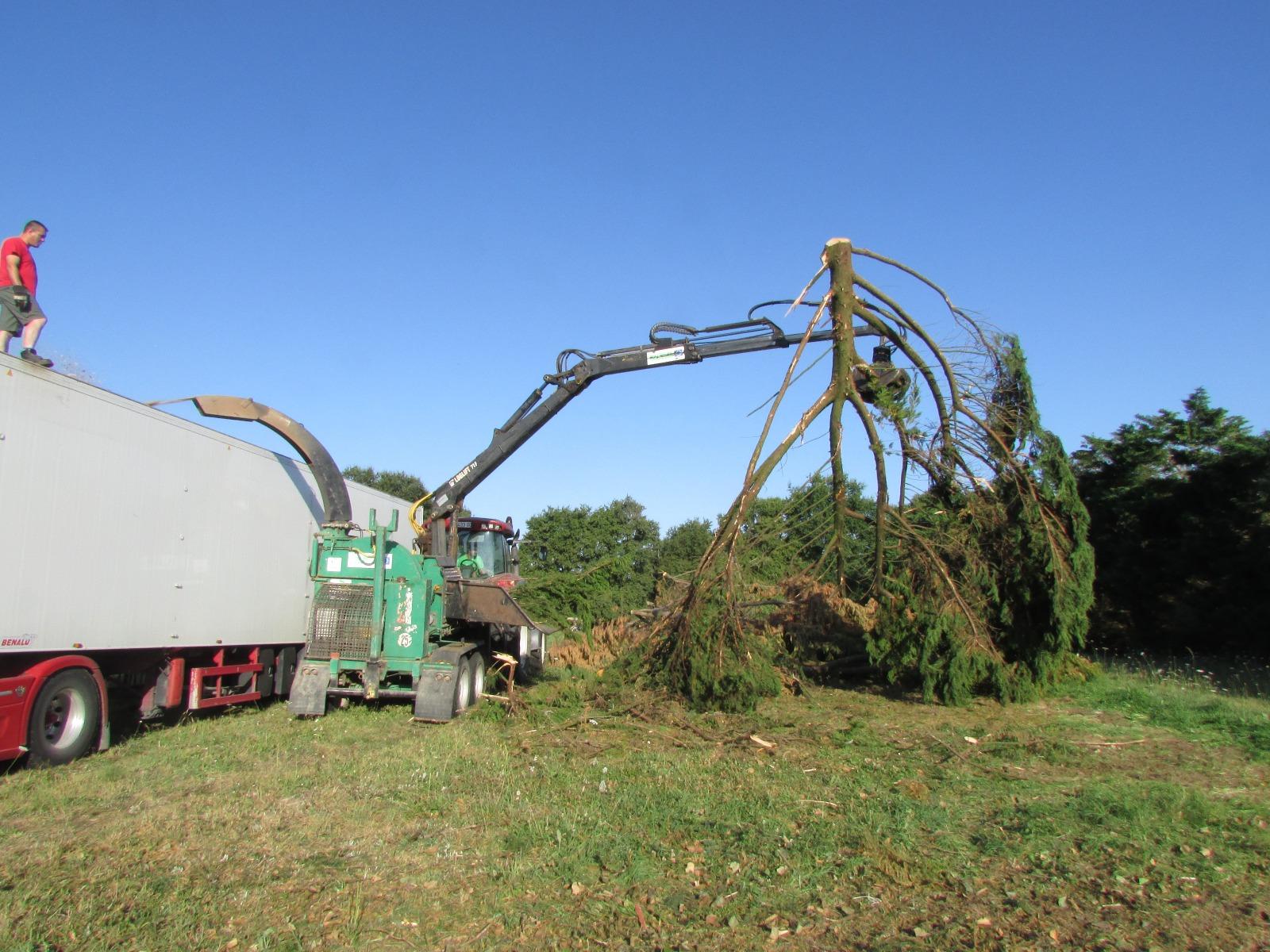 Broyage de gros volume, rognage de souche en Loire-Atlantique