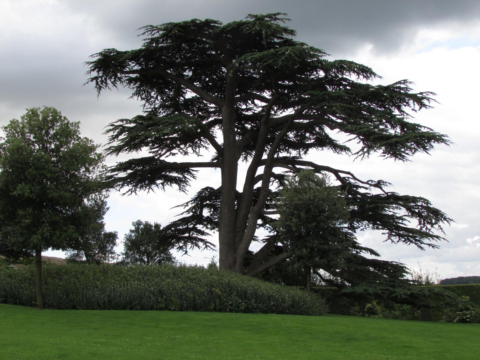 Artisan paysagiste à Legé