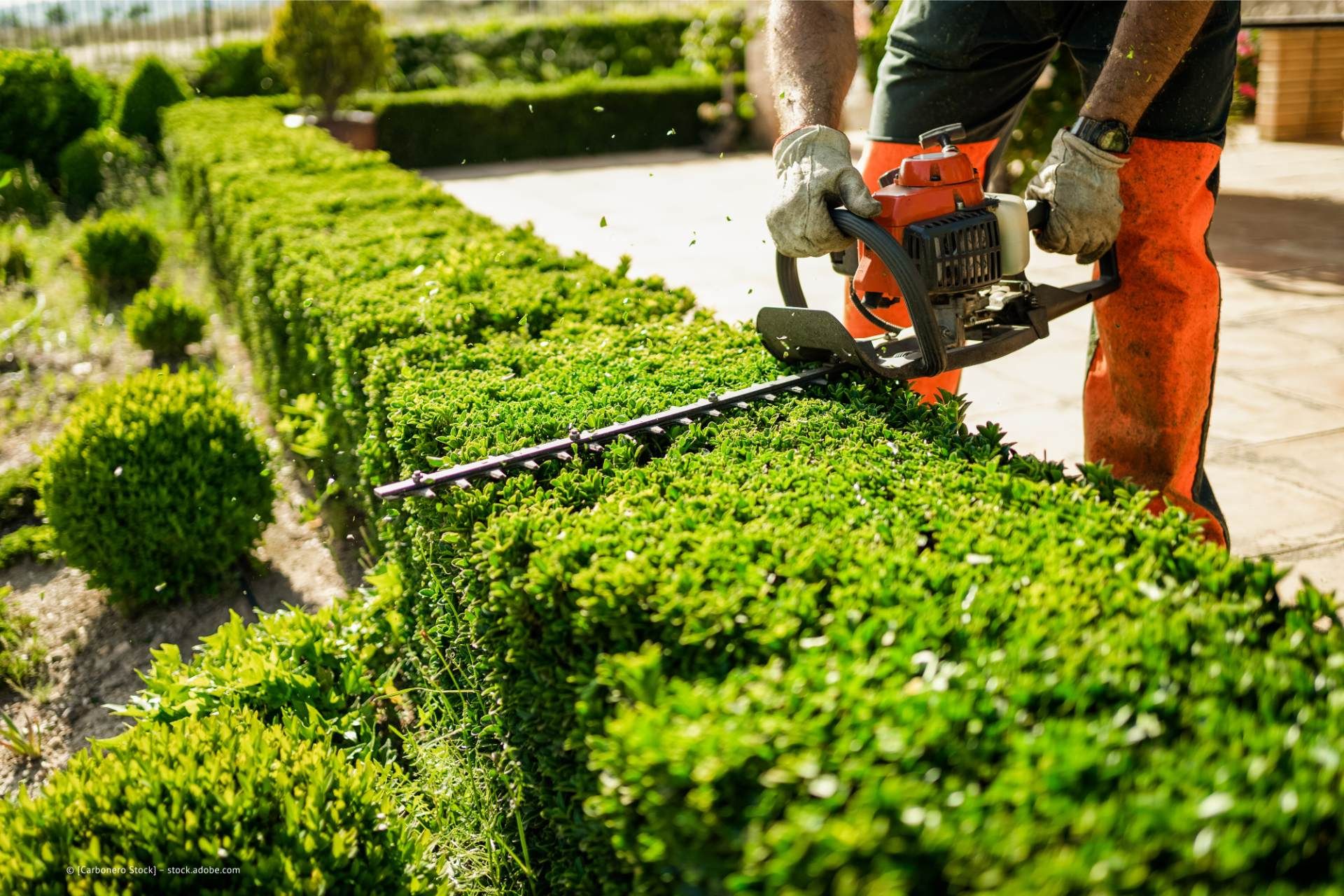 Garten und Landschaftspflege Schermbeck Maik Großblotekamp