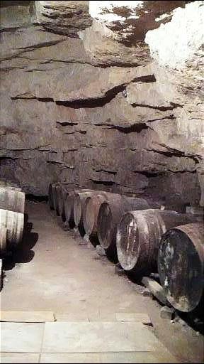 Nos différentes Appelations