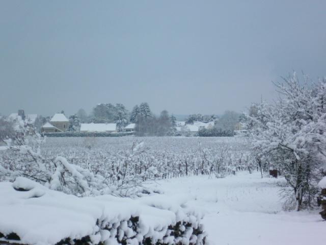 vignes sous la neige février 2018