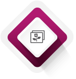 הזמנות לאירועים