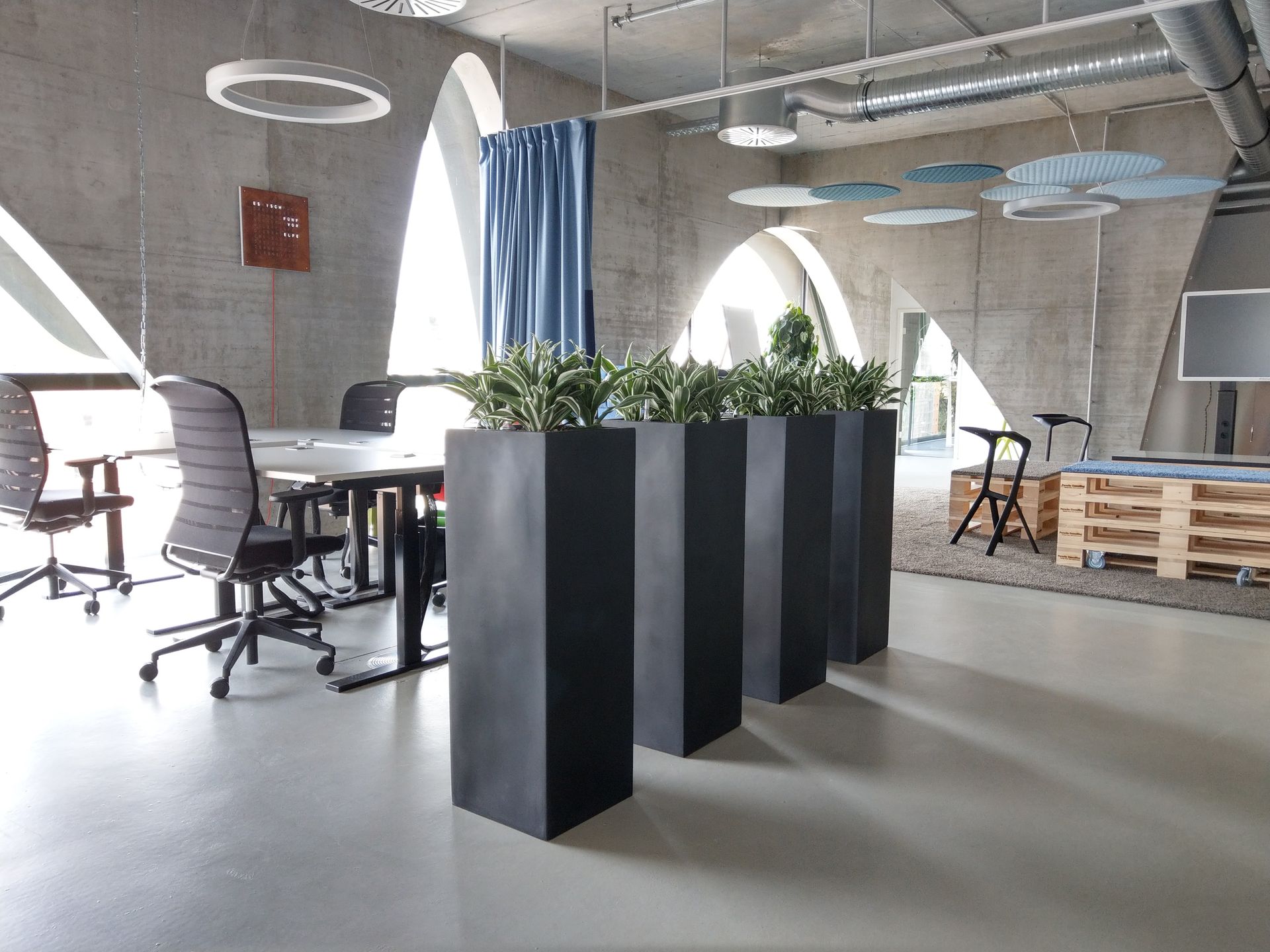 Eine moderne Büroeinrichtung mit hohen Topfpflanzen in schlichten grauen Vasen.