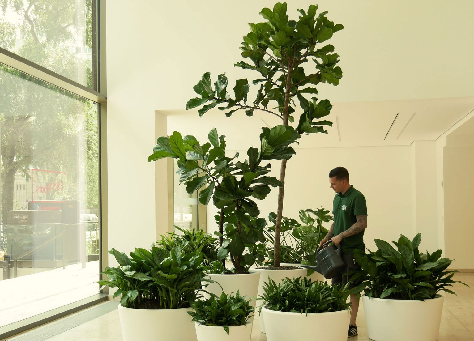 In einem Innenraum mit großen Fenstern werden verschiedene Topfpflanzen ausgestellt, während eine Person sie gießt.