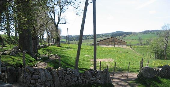 Architecte - Saint Chély d'Apcher - Gibelin Tichit