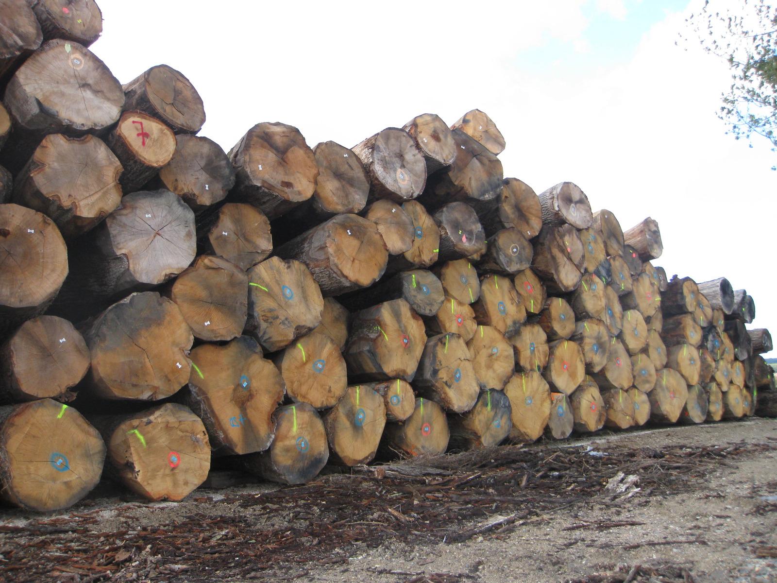 MSF Menuiserie Scierie Francilienne