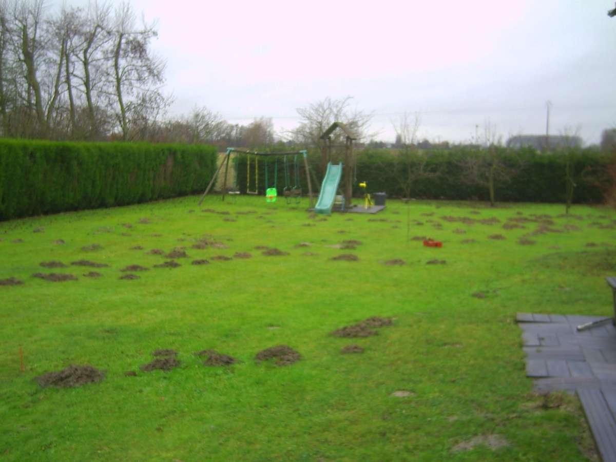 Contactez Zen Services, notre taupier à Lambersart, Nord (59)