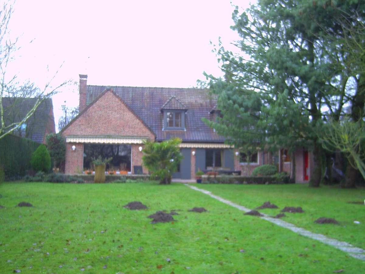 Détaupinage - Zen Services - Lambersart, Nord (59)