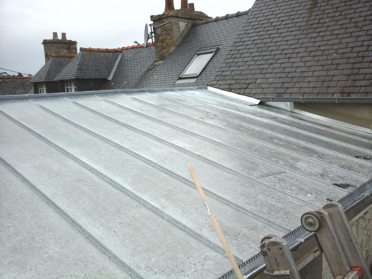 Zinc à joint debout (2)