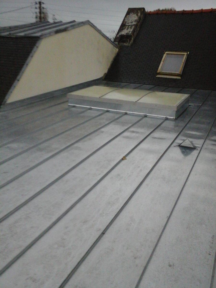 Zinc à joint debout