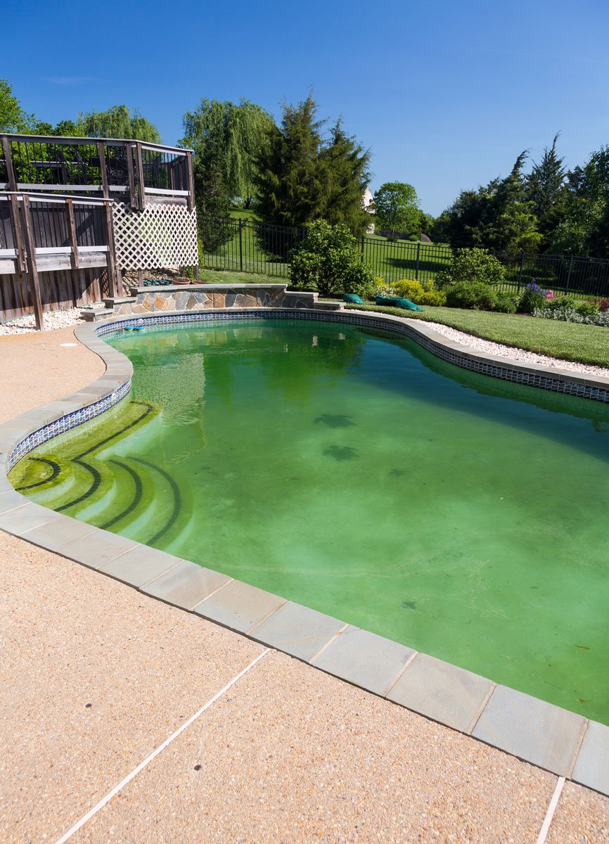 Traitement de l'eau de piscines à Dijon et ses alentours — free download