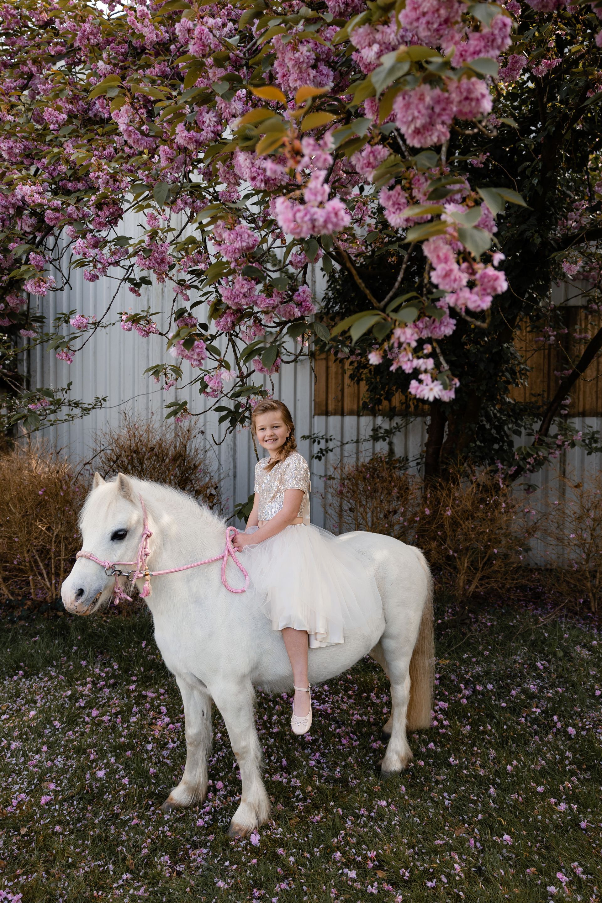 Fotografie en business shoots in Vlaanderen | Ellen Rombouts