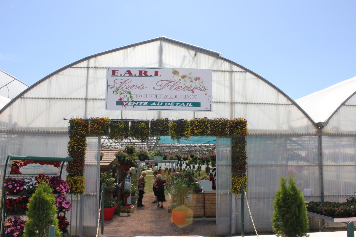 Serre avec des plantes et fleurs