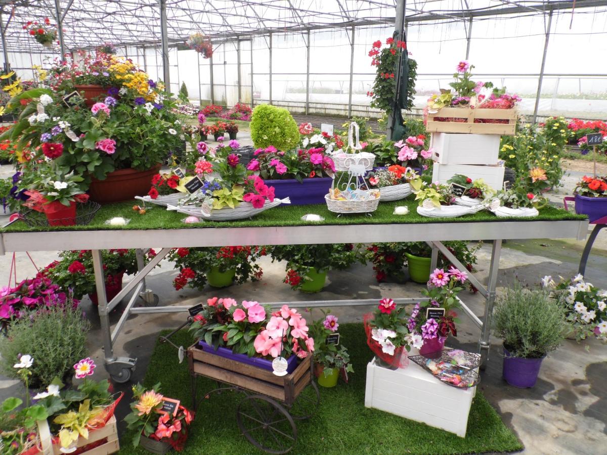 Compositions de fleurs