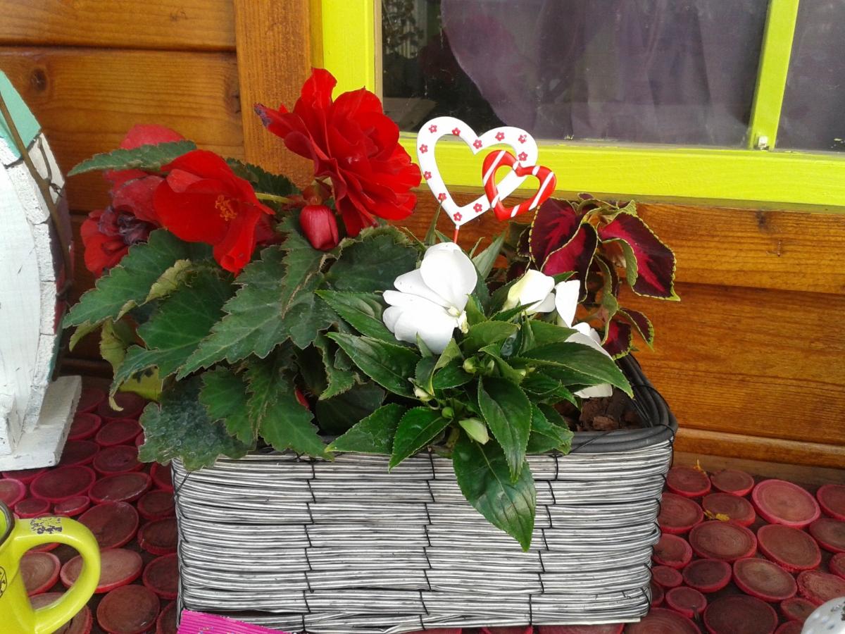 Composition de fleurs rouges et blanches pour la Saint-Valentin