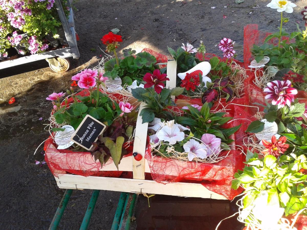 Bouquet composé pour la Fête des mères