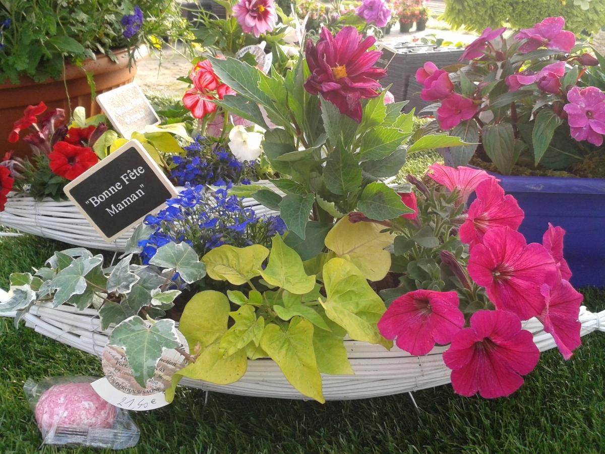 Composition florale pour la Fête des mères