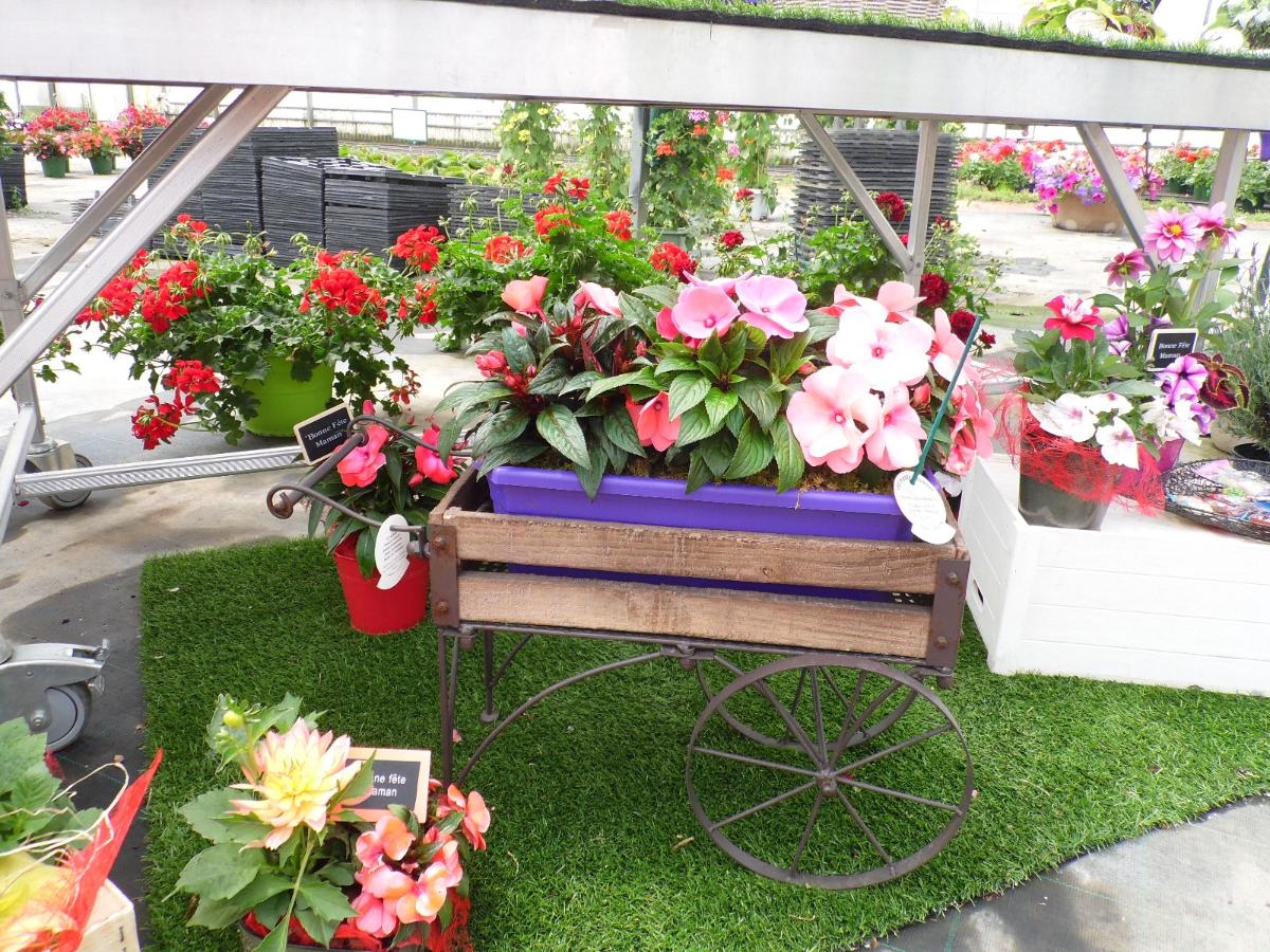 Composition florale de fleurs roses et rouges