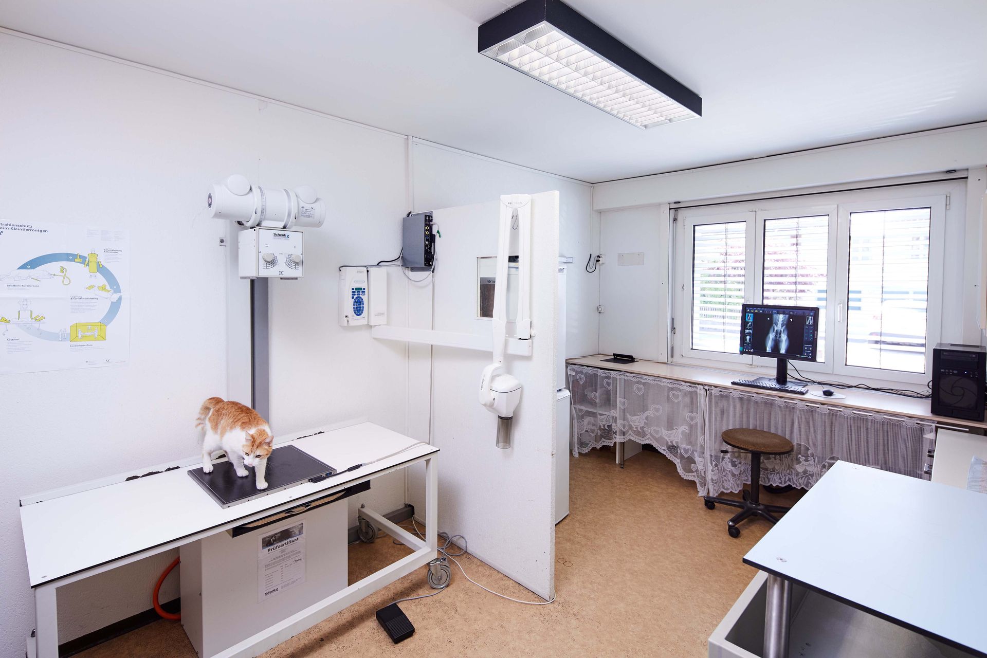 Kleintierpraxis Dipl. Med. Vet. Carla Baldauf Tierarzt Über uns - Winterthur - Kleintierpraxis Dittus