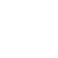 ייצור ושיווק רשתות 