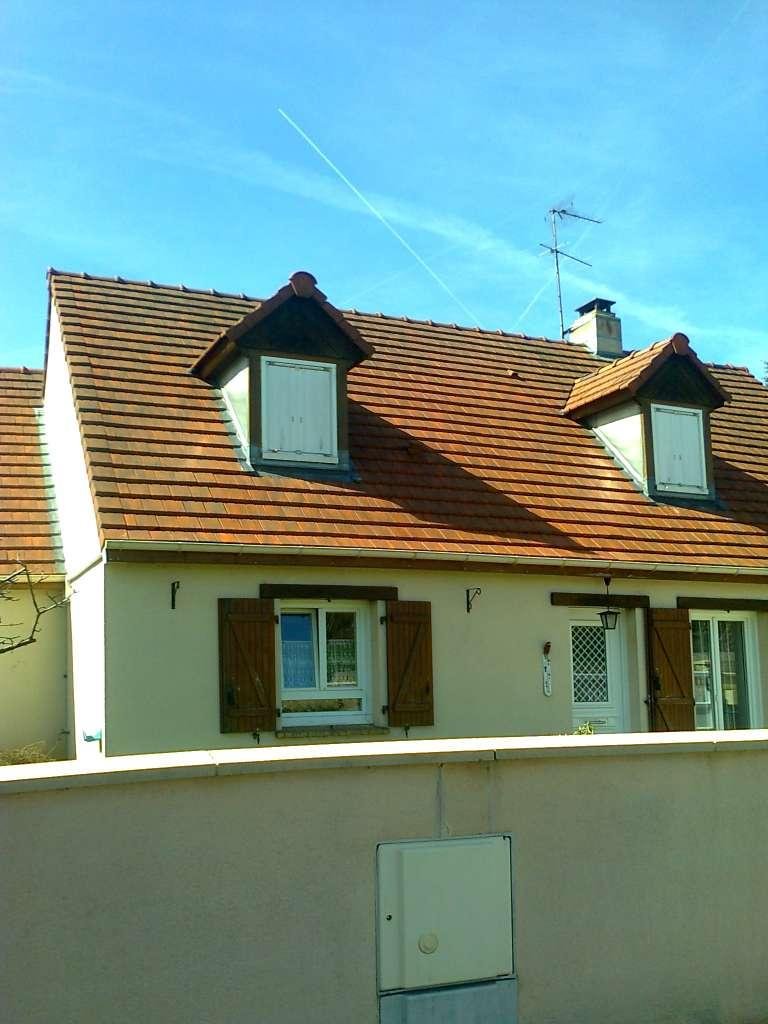 Grande toiture avec deux chiens assis