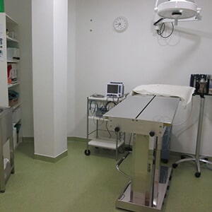 Temp_peticure01_homepage_aboutus01_vet_v01