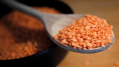 “RILLETTES” DE LENTILLES CORAIL