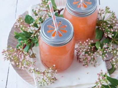 LIMONADE À LA RHUBARBE