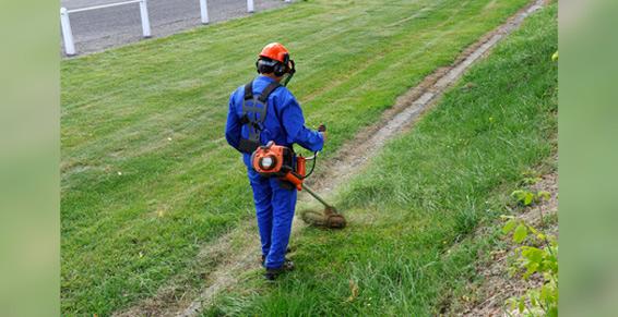 Nettoie Express entretient vos espaces verts en Martinique