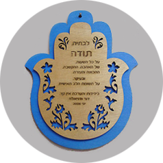 שלטים ומגנים