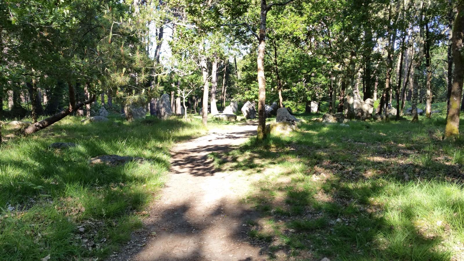 Alignements de caranac Auray Artisans Taxis