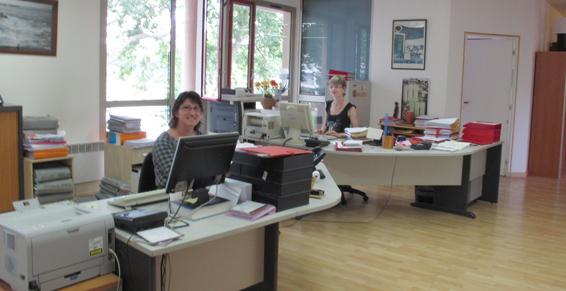 droit commercial travail social civil famille construction pénal