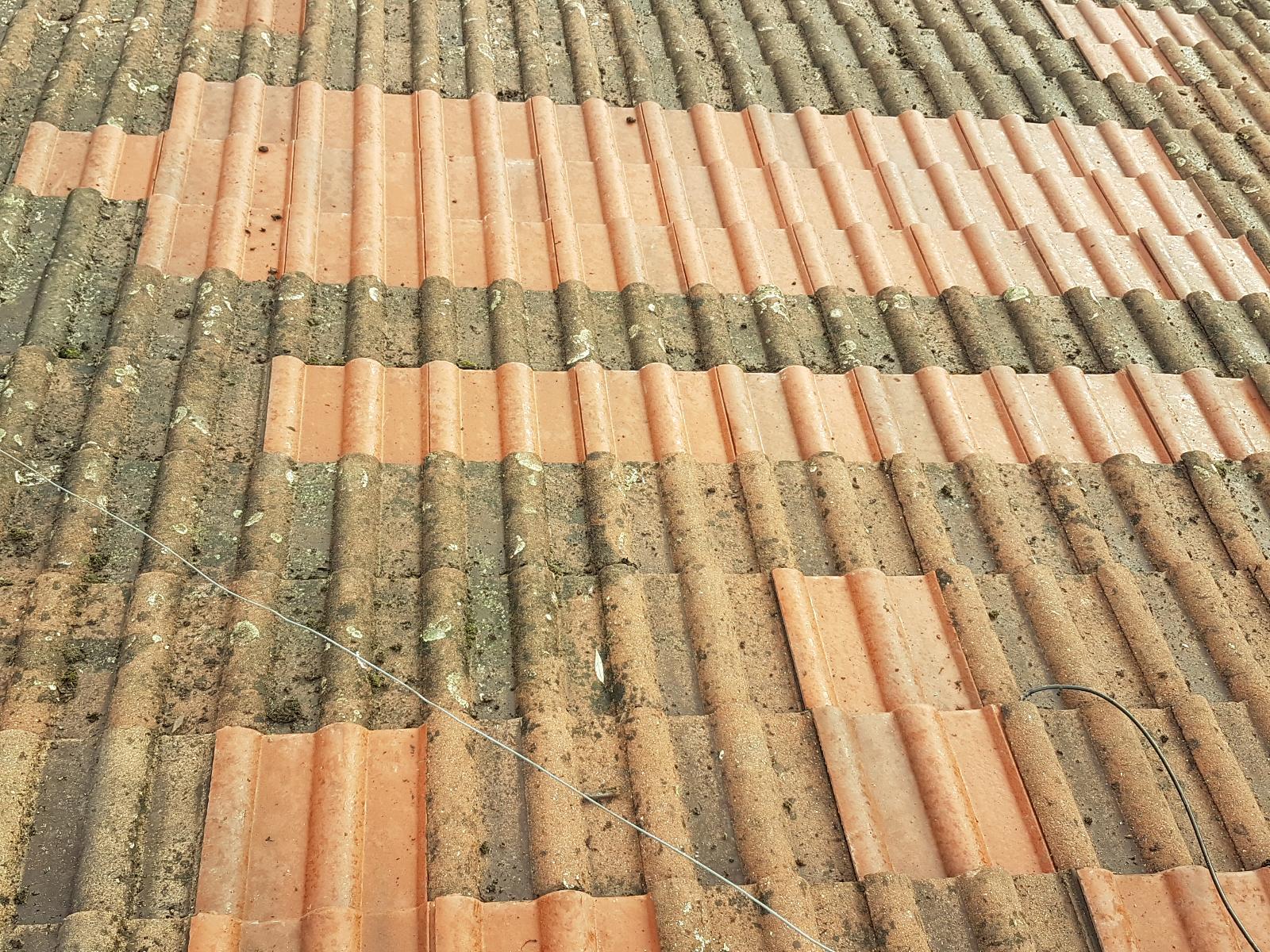 MECQUESSE Pose de charpente