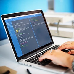 Software Development