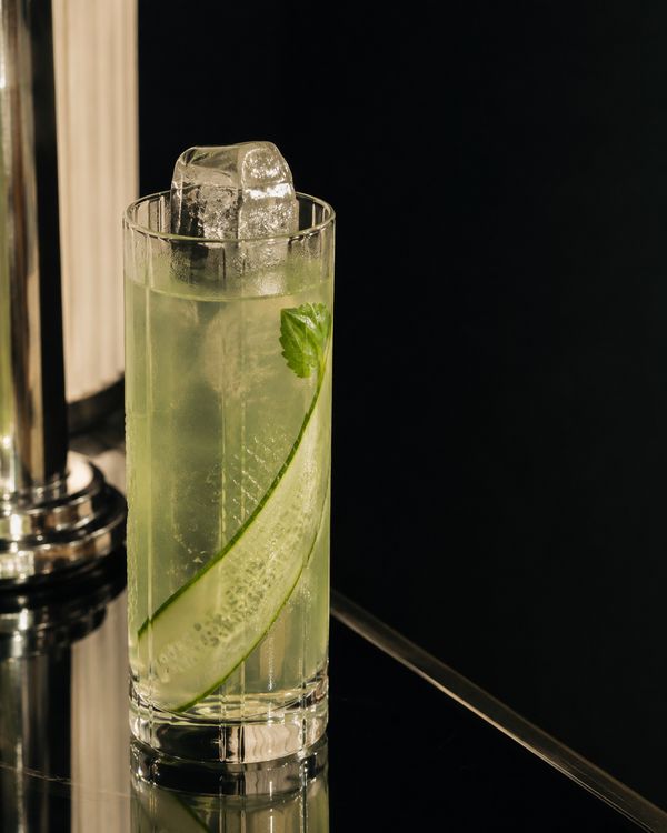 A tall highball cocktail with cucumber ribbons and mint over ice