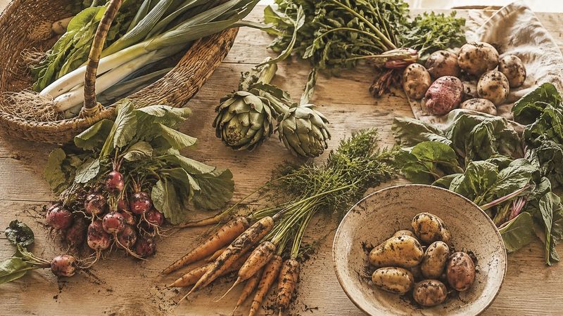 A table spread with an assortment of fresh vegetables from the garden