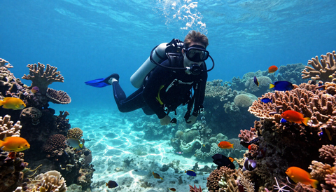 Scuba Diving experience photo 1
