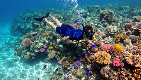 Snorkelling experience photo 1