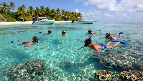 Snorkelling experience photo 3
