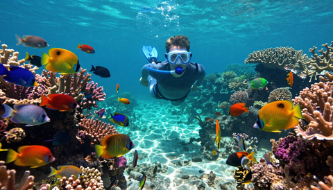 Snorkelling experience photo 4