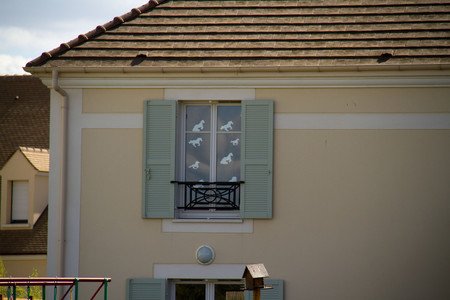 volets vert pastel sur une fenêtre décorée avec des dinosaures en papier